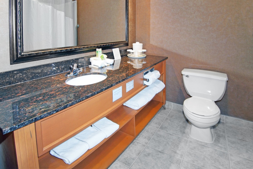 Holiday Inn Express Hotel Suites Calgary South Macleod Trail S 28/73