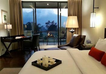 Deluxe, Suite, Golf Course View