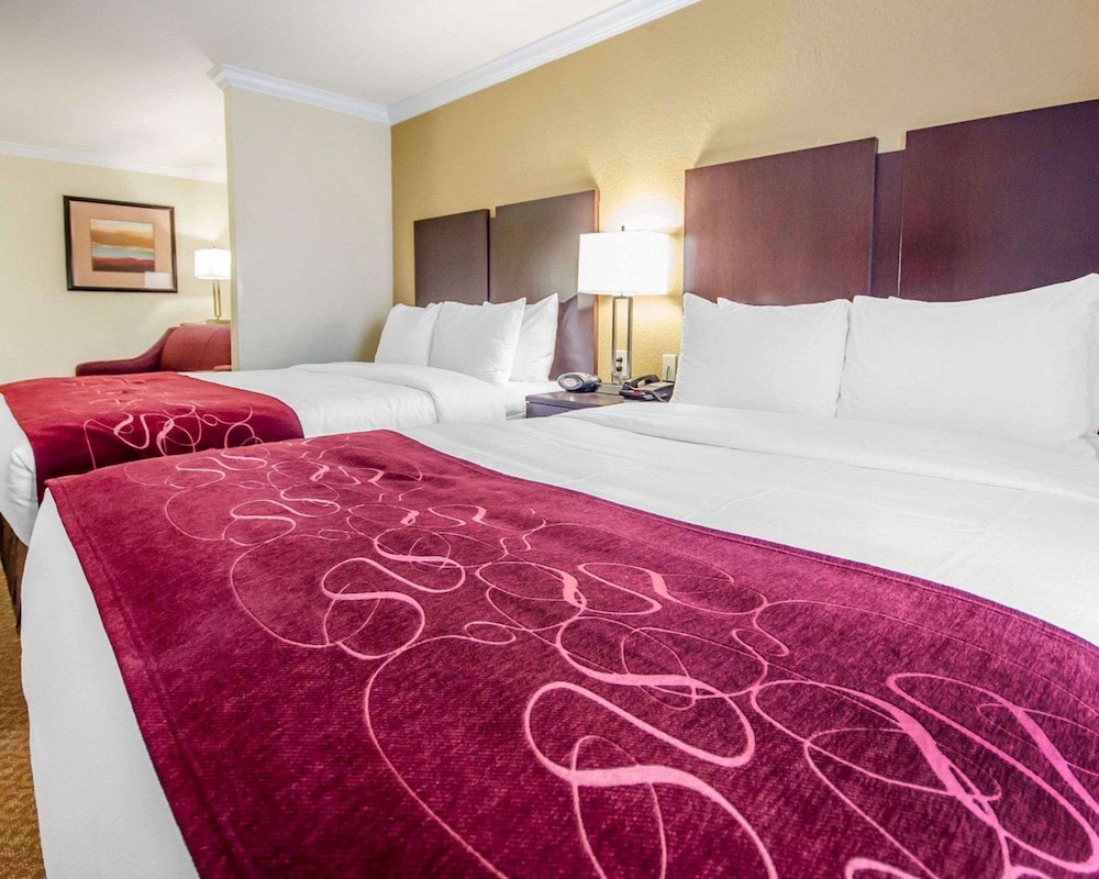 جناح بسريرين كوين مع أريكة، Comfort Suites Elizabethtown 2/3