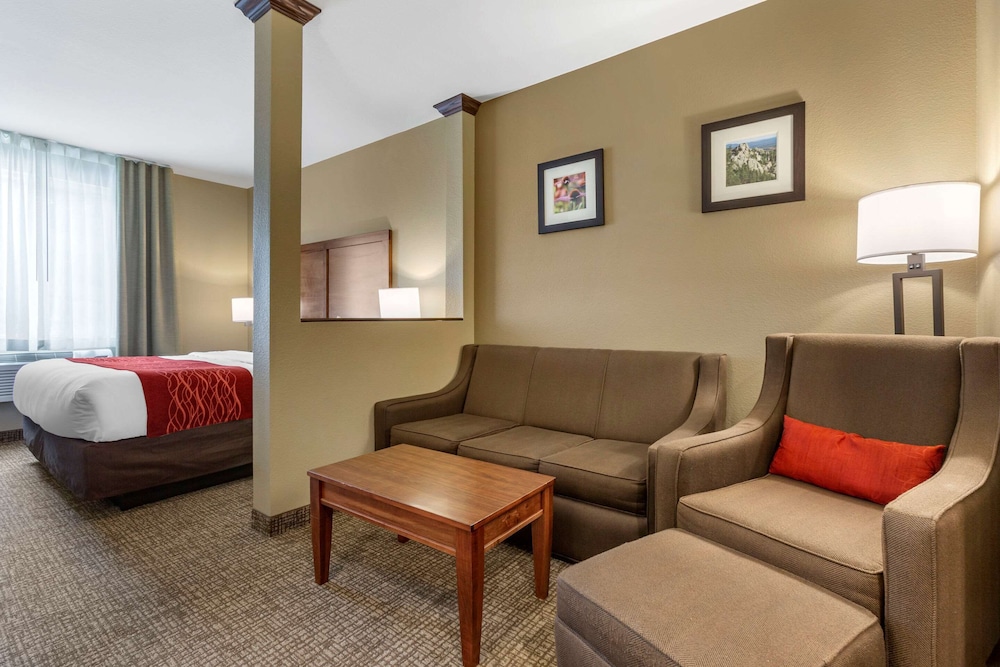 COMFORT INN & SUITES NEAR MT. RUSHMORE 24/34