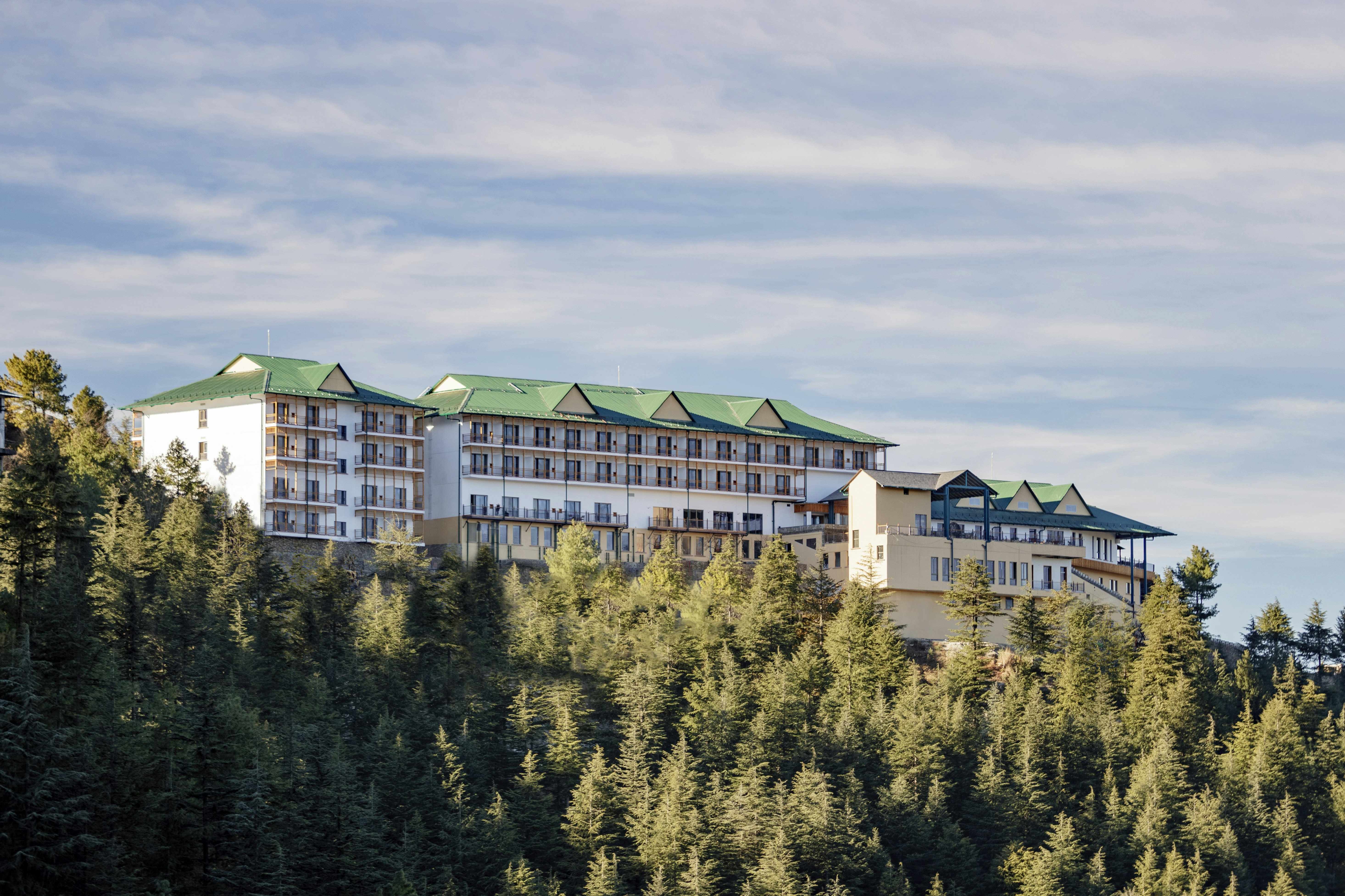 Taj Theog Resort And Spa Shimla 2/45