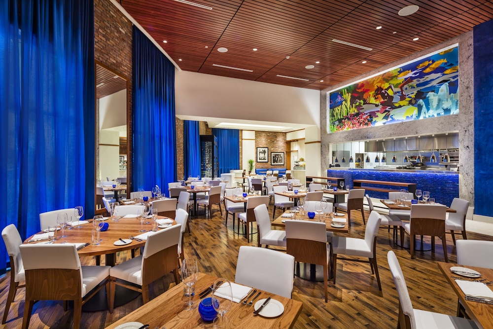 Margaritaville Hollywood Beach Resort 50/68