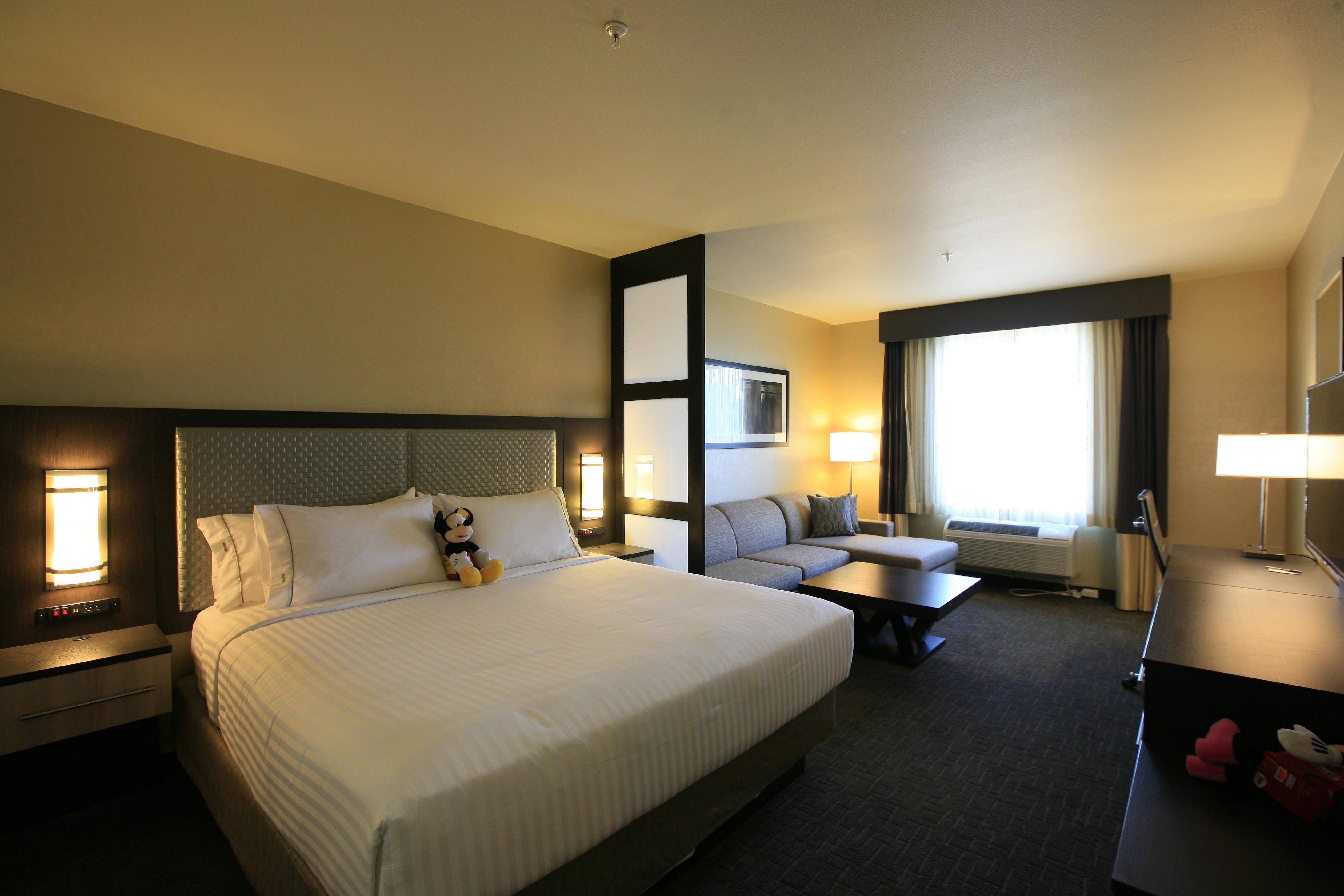 Holiday Inn Express & Suites Anaheim Resort Area 16/58