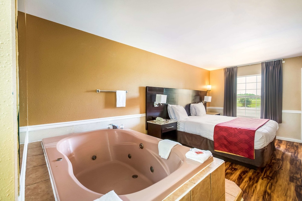 Econo Lodge Princess Anne 19/40