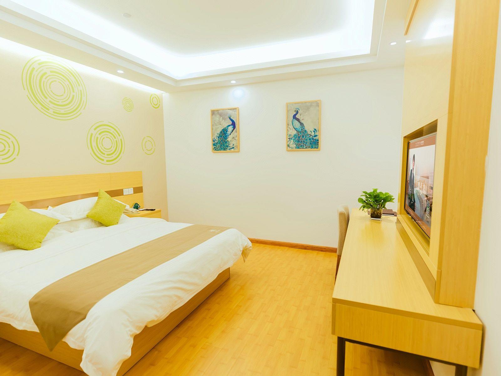Guest Room, Double Bed, No Window