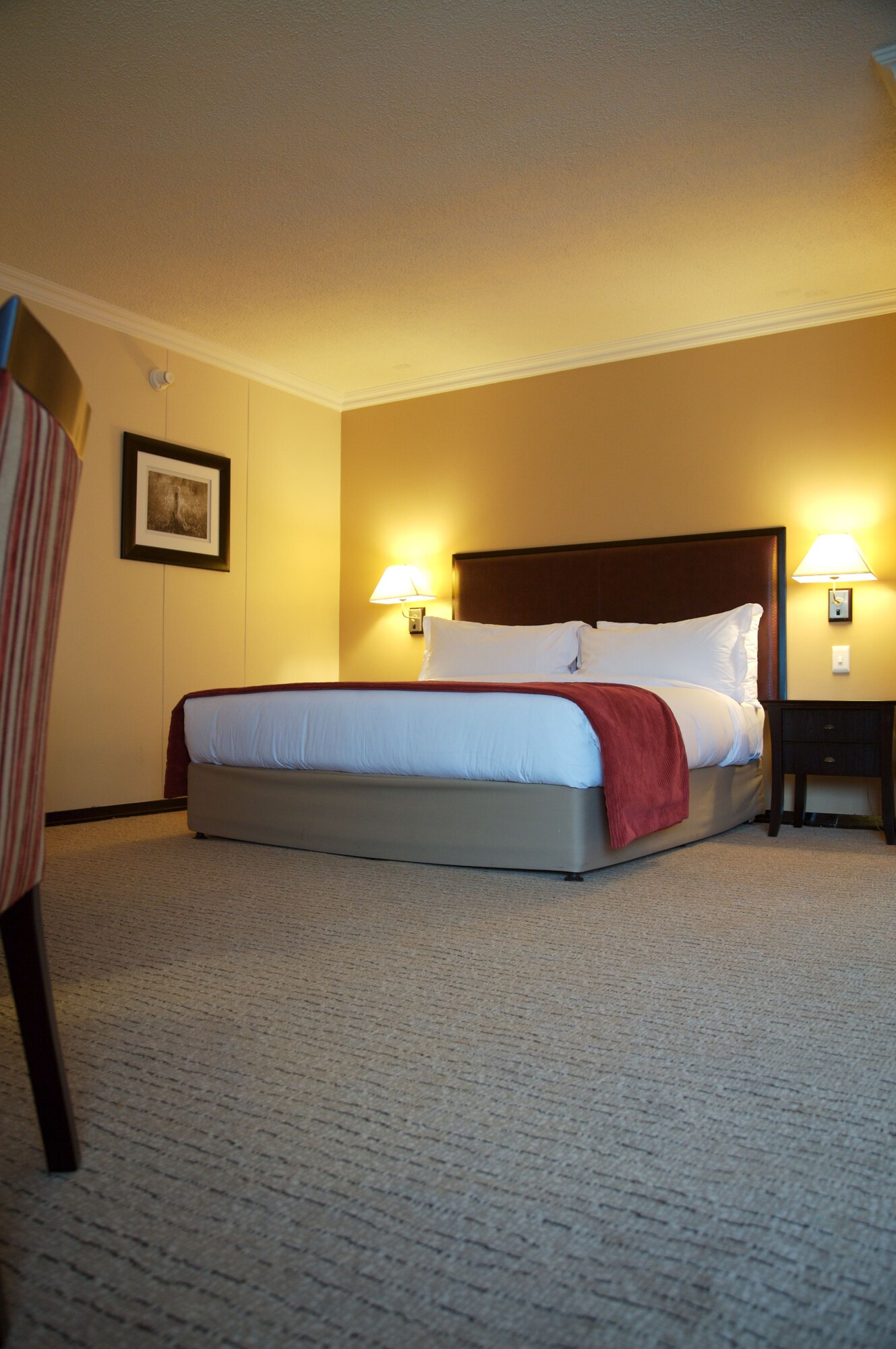 Executive, King Bed