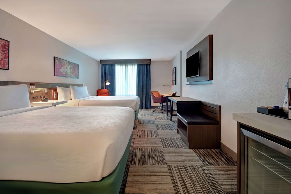 Hilton Garden Inn Houston/Galleria Area 17/58