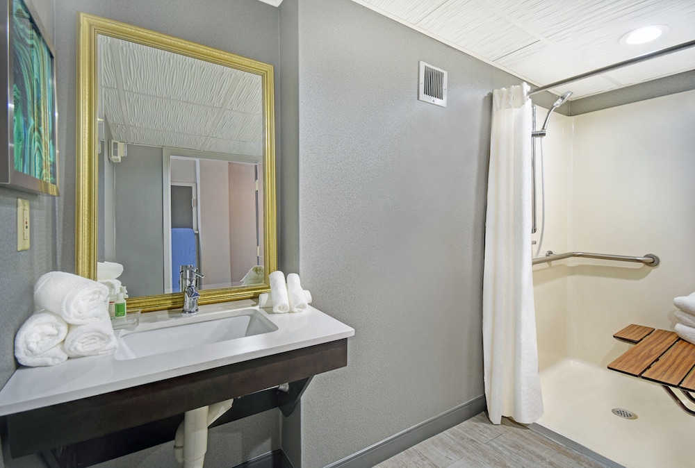 Holiday Inn Downtown Memphis 15/57
