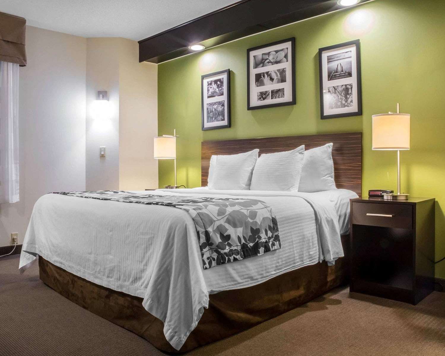 Room, King Bed