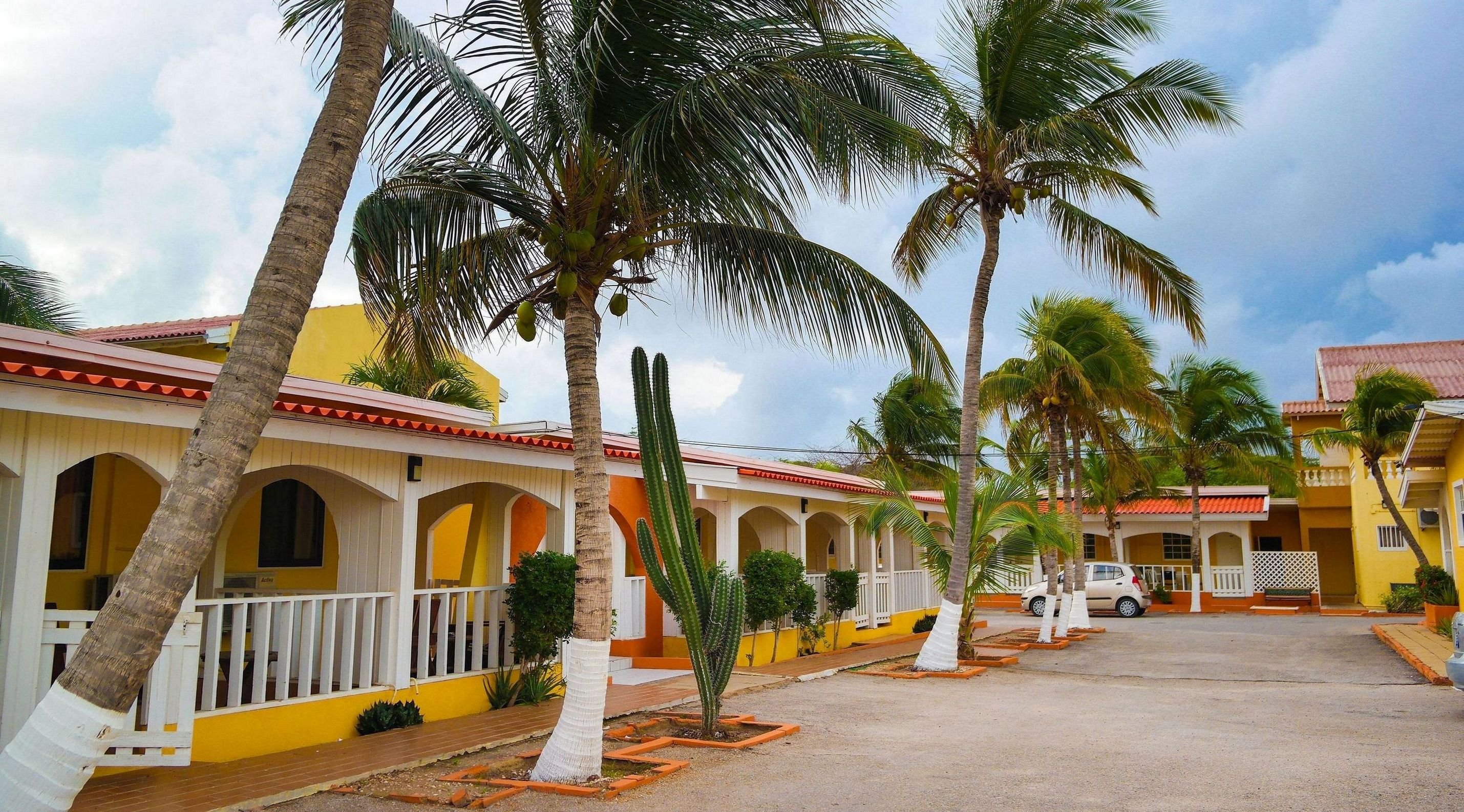 COCONUT INN 31/37