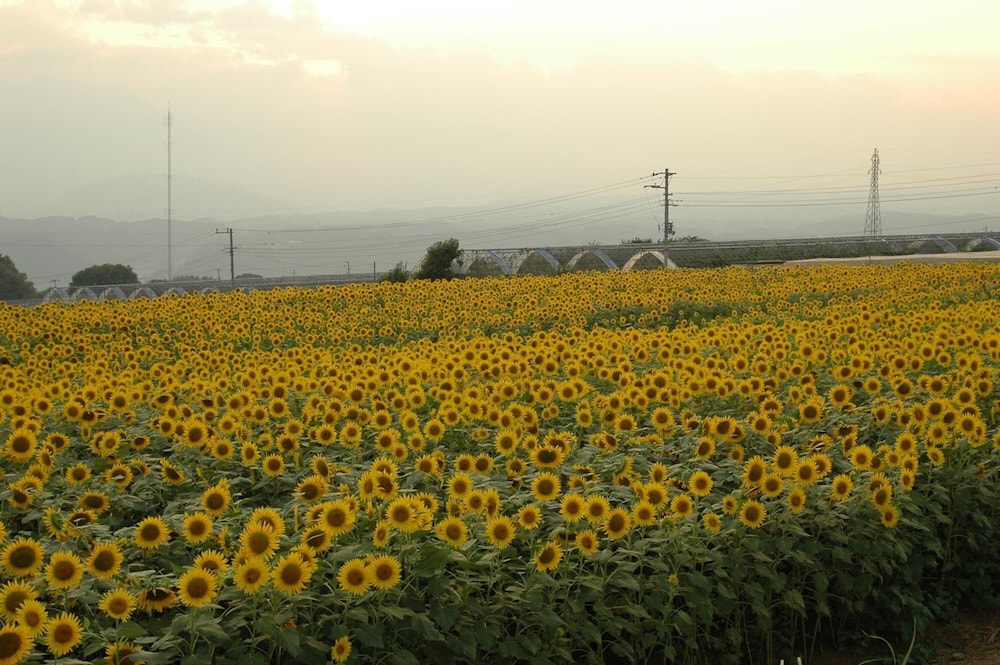 HOTEL HATTA YAMANASHI 43/49