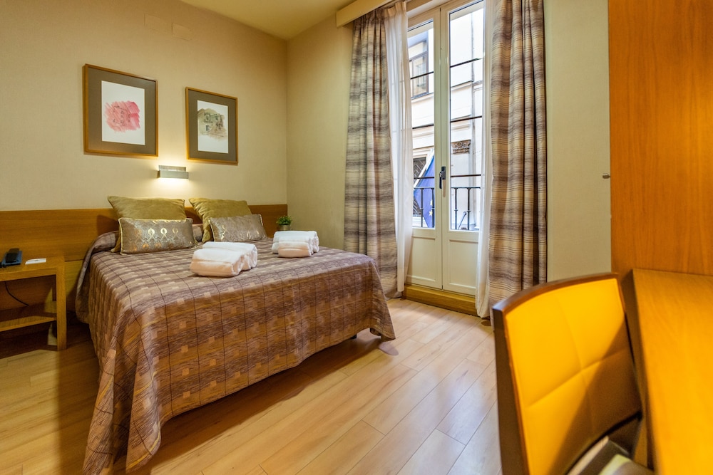 Hotel Windsor Puerta del Sol 20/65