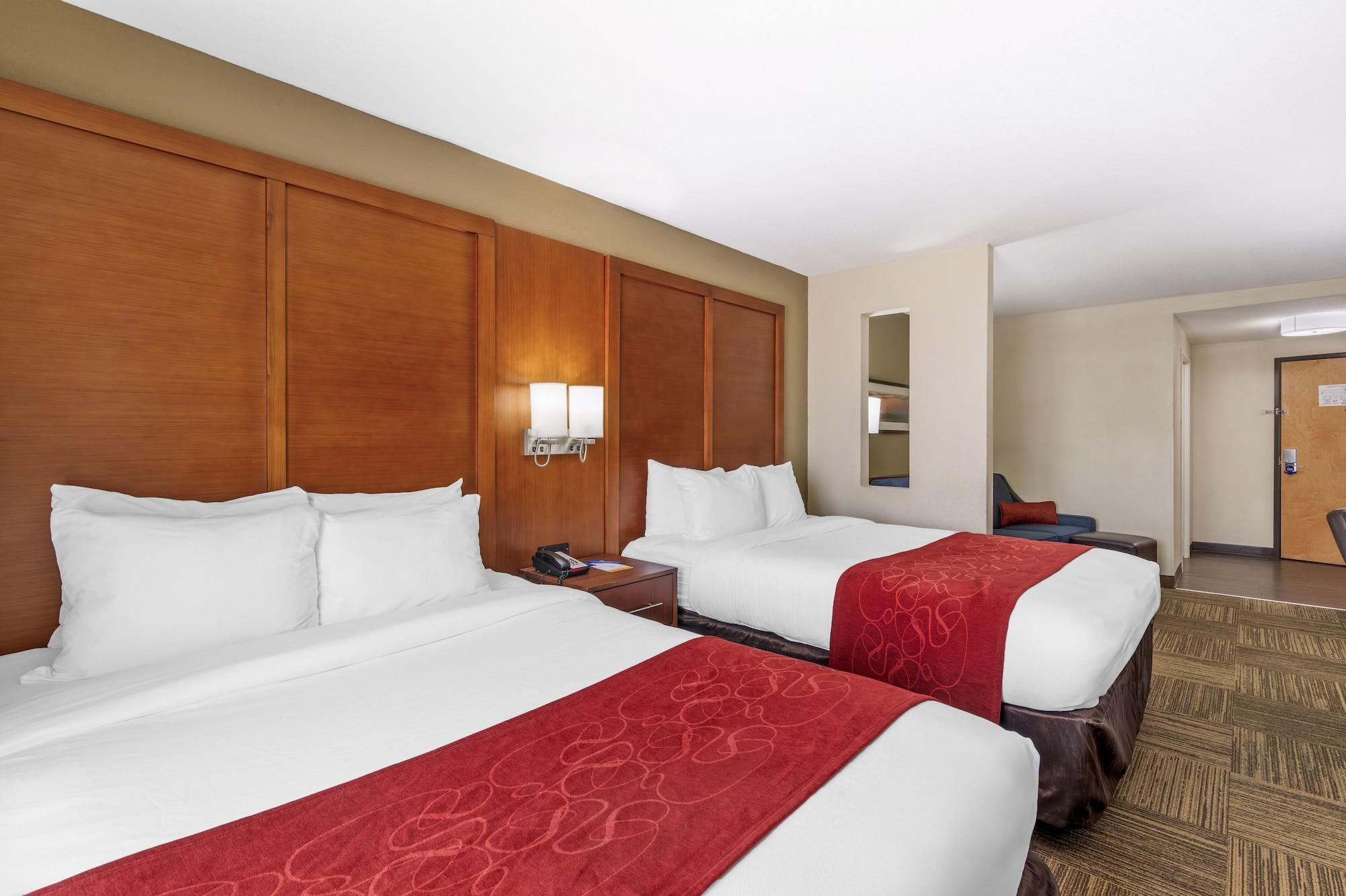 Suite, Multiple Beds, Accessible