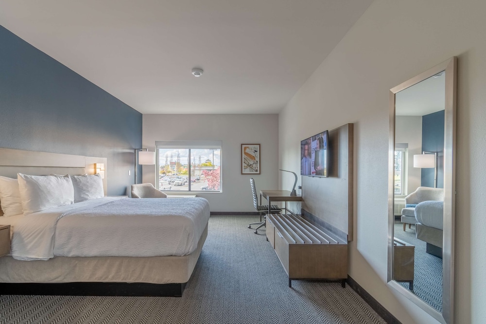 Standard, King Bed, Accessible