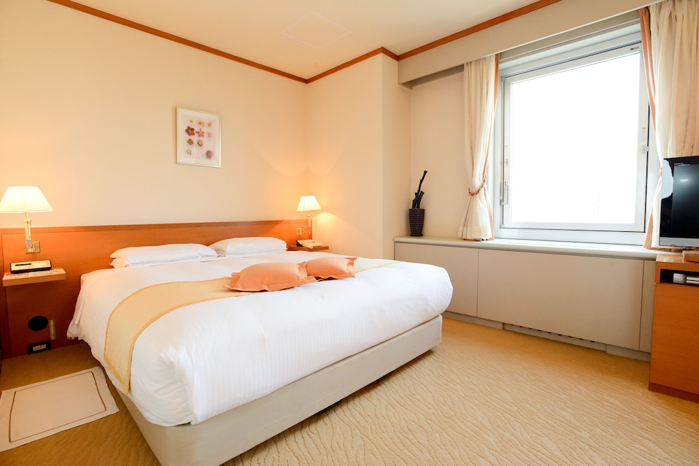 Sapporo Park Hotel 17/75