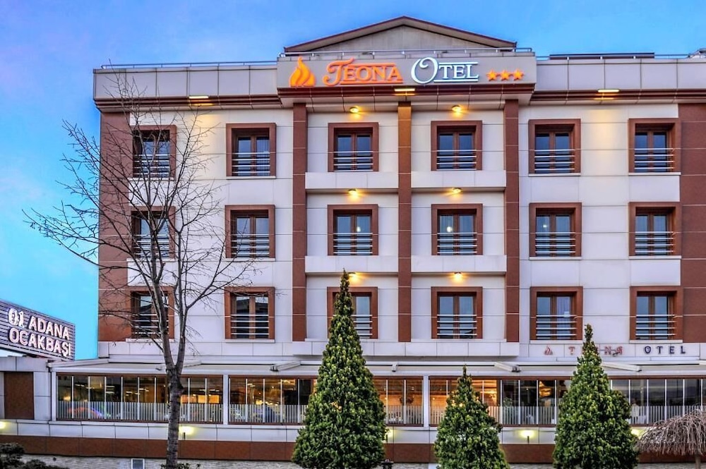 Teona Otel 1/26