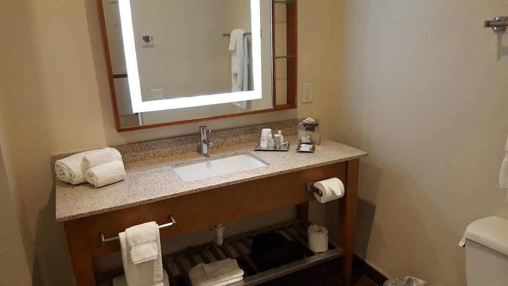 Sol Cypress, San Antonio, A Tribute Portfolio Hotel 14/41