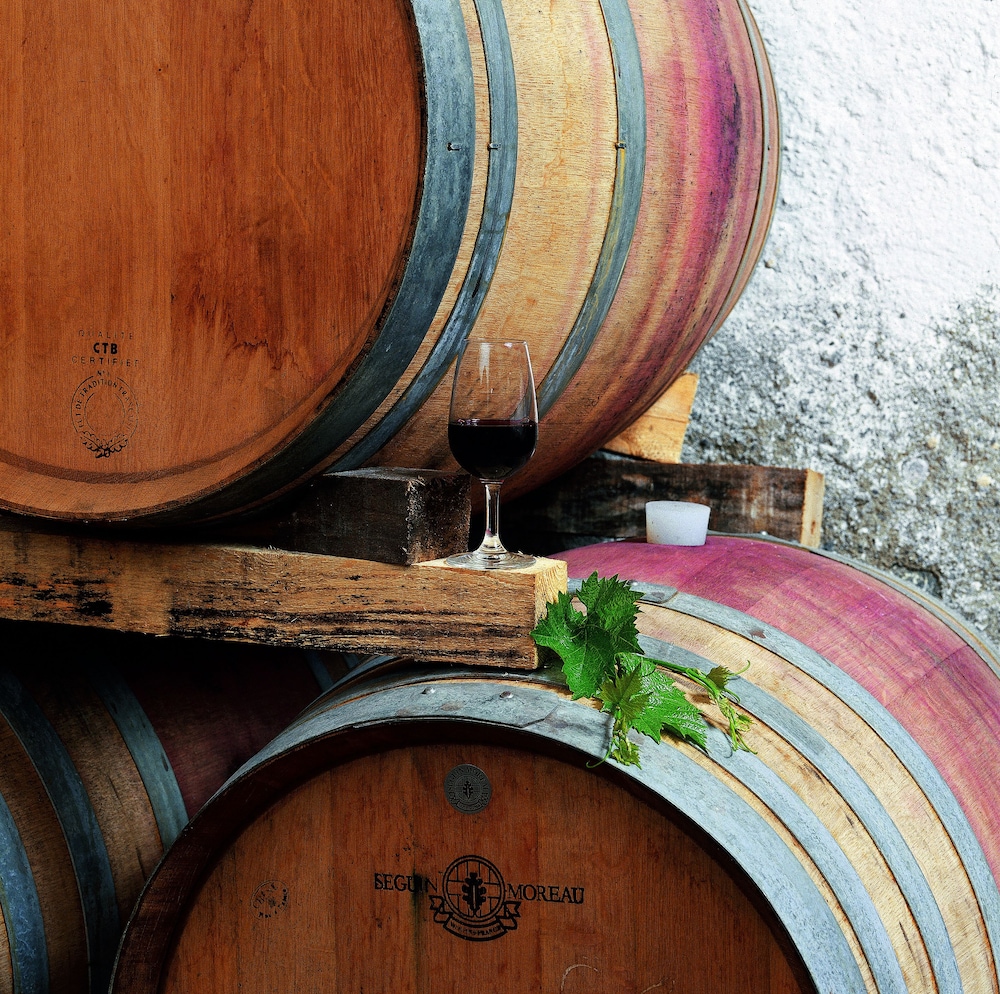 Fattoria Casabianca 11/50