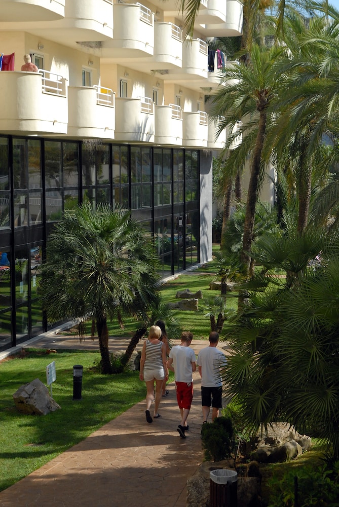 Protur Palmeras Playa Hotel 35/51