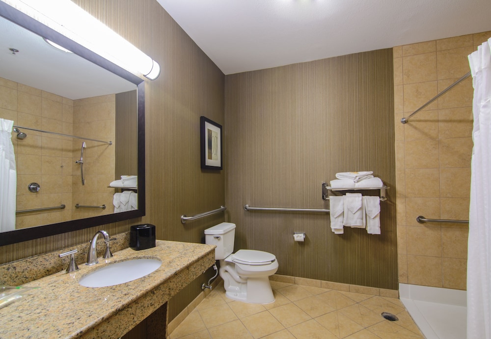 Holiday Inn Arlington Ne Rangers Ballpark 23/69