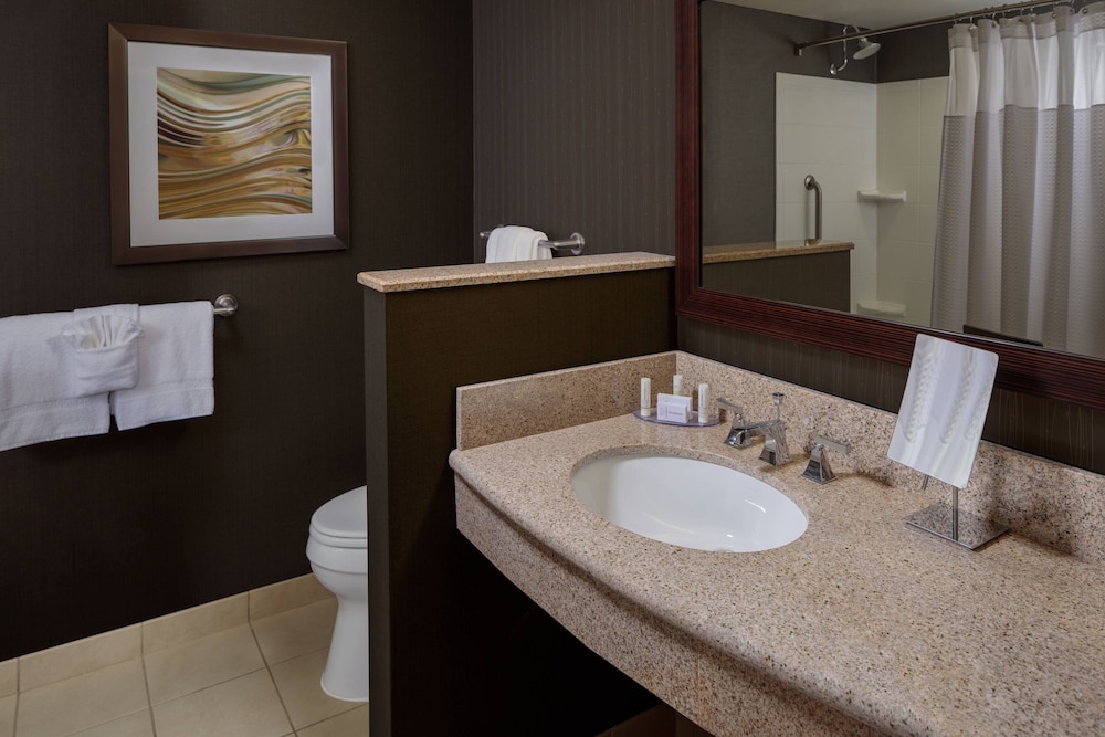 Courtyard by Marriott Houston Medical Center/NRG Park 14/42