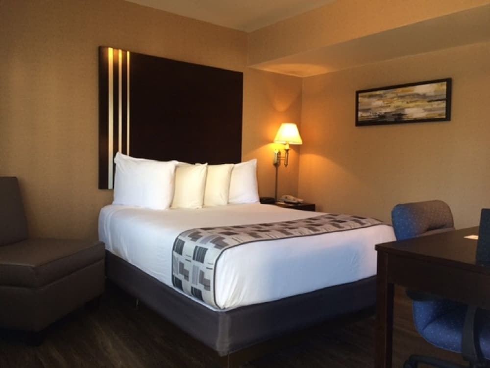 Super 8 by Wyndham Albany 15/51