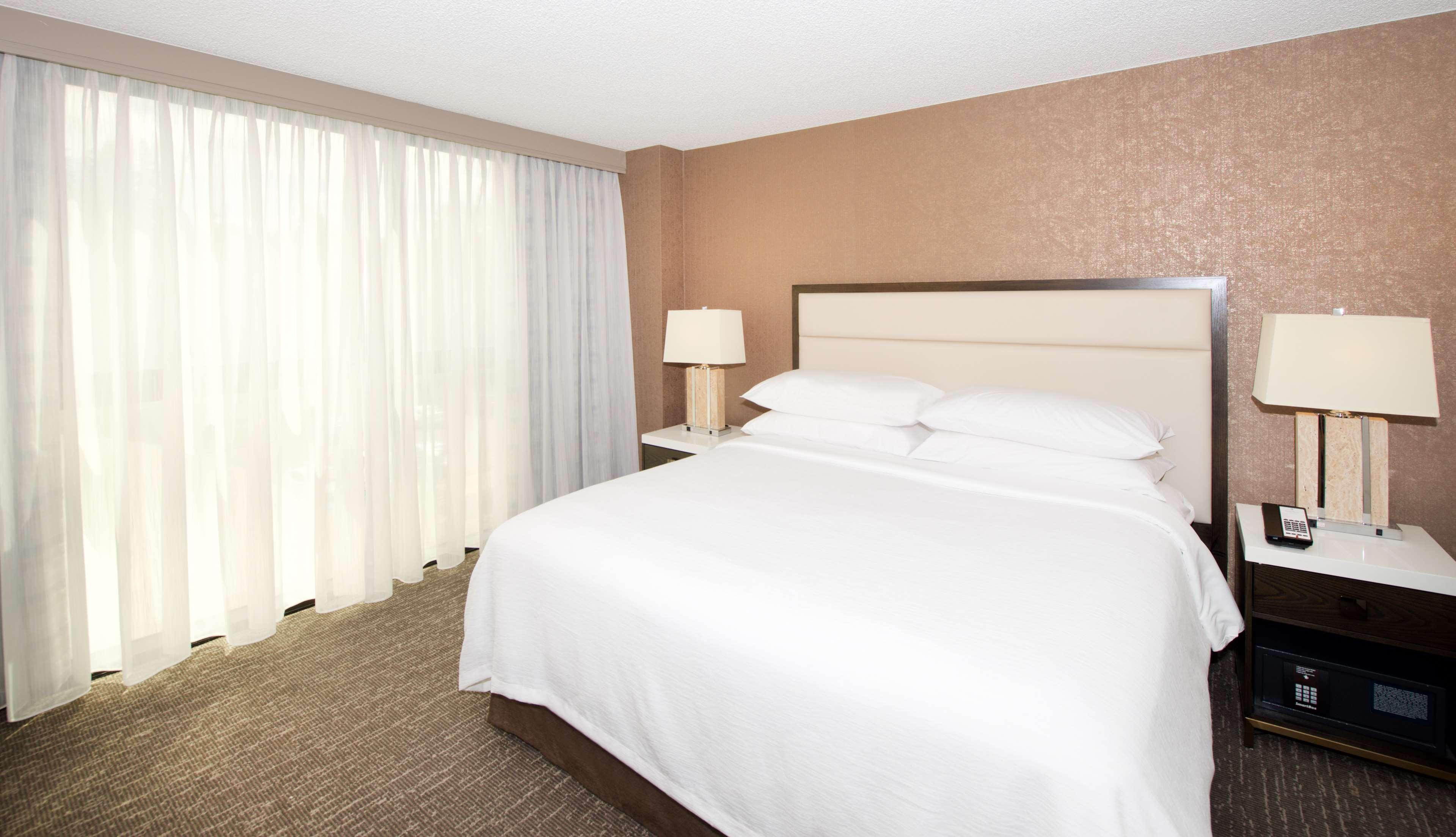 Suite, King Bed