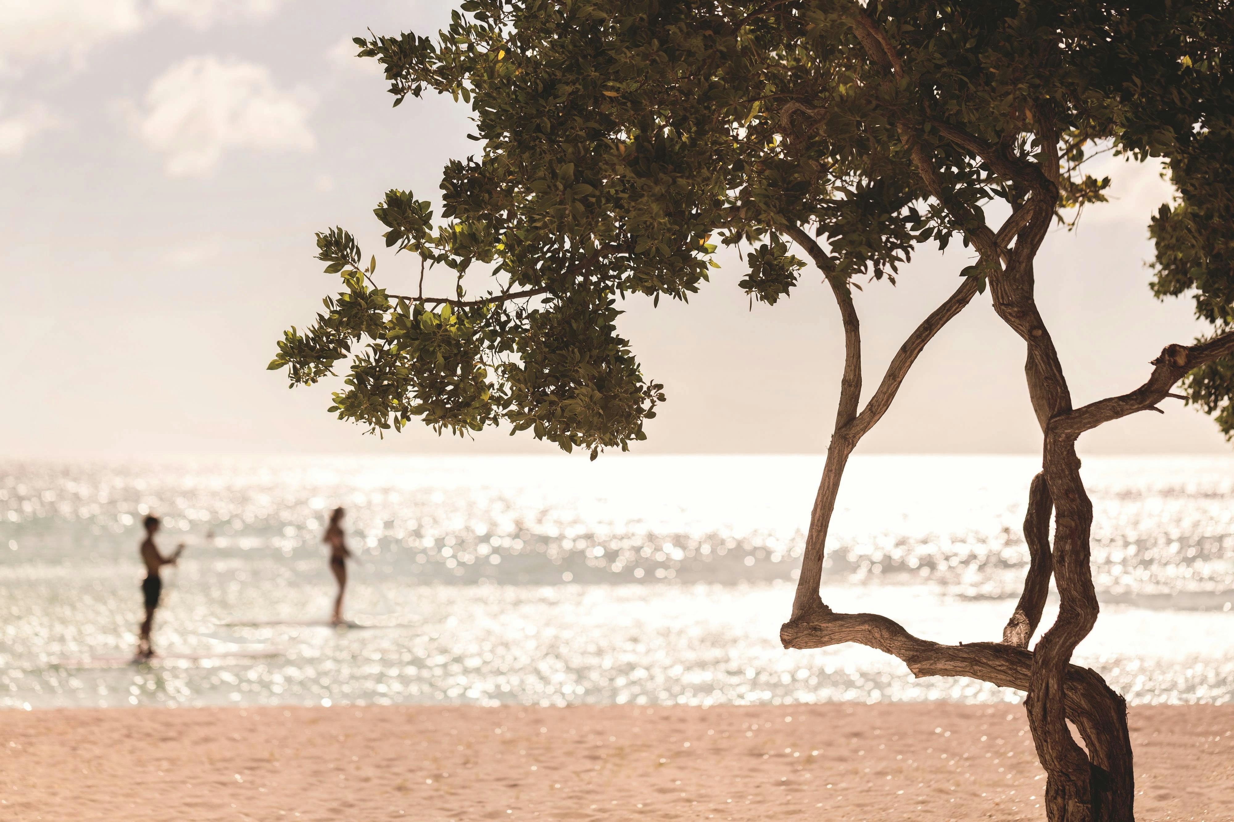 The Ritz-Carlton, Aruba 42/50