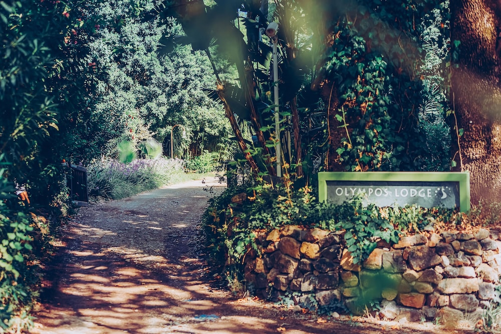 Olympos Lodge 41/50