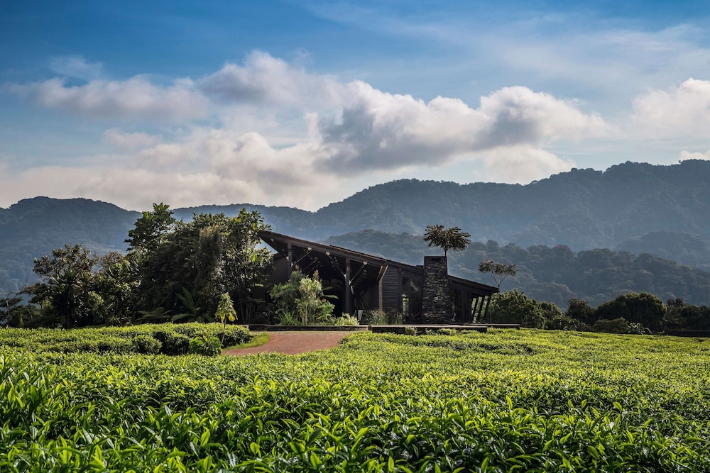 Nyungwe Tea Forest Resort 61/71