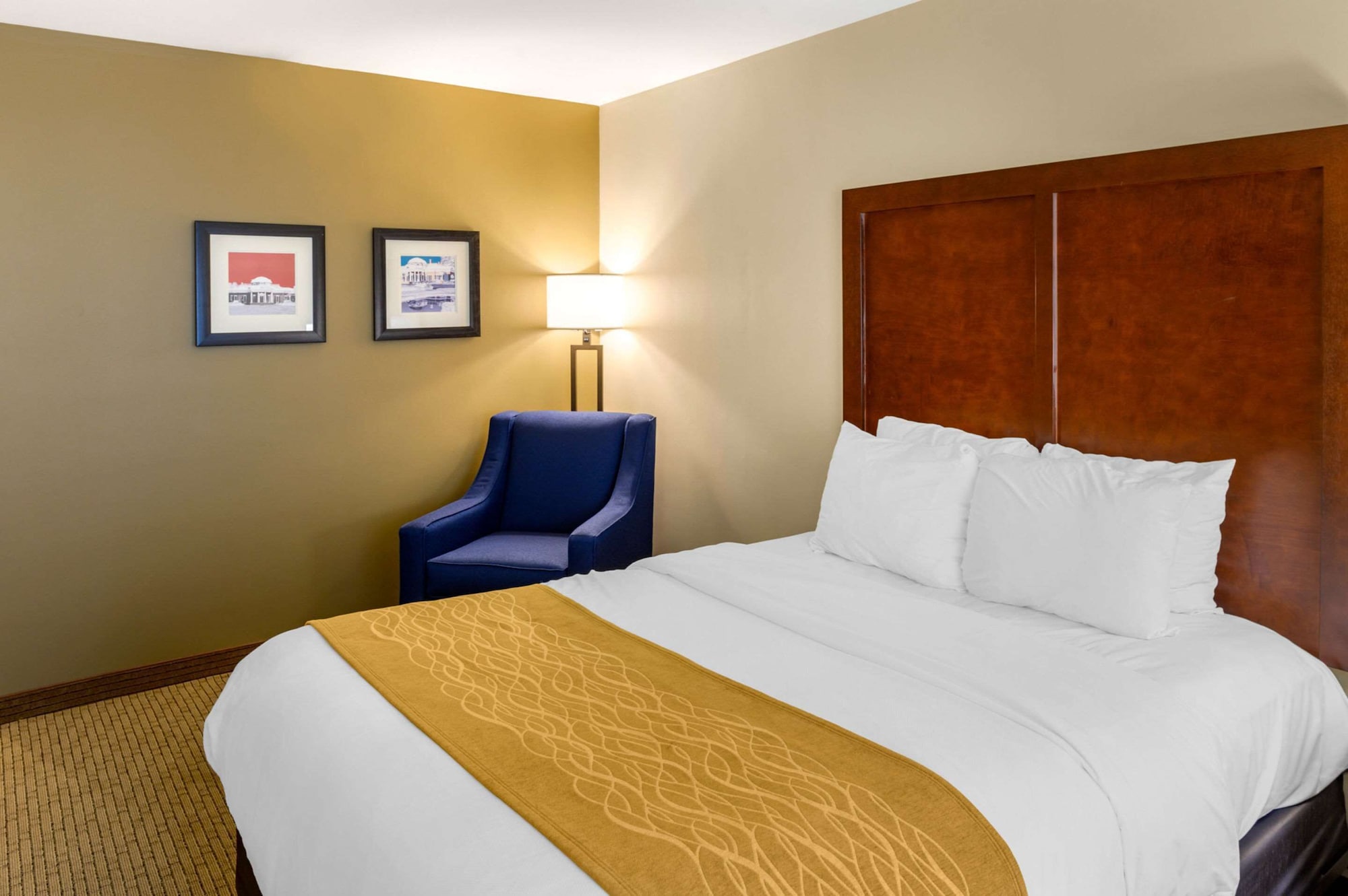 ROOM, QUEEN BED, ACCESSIBLE