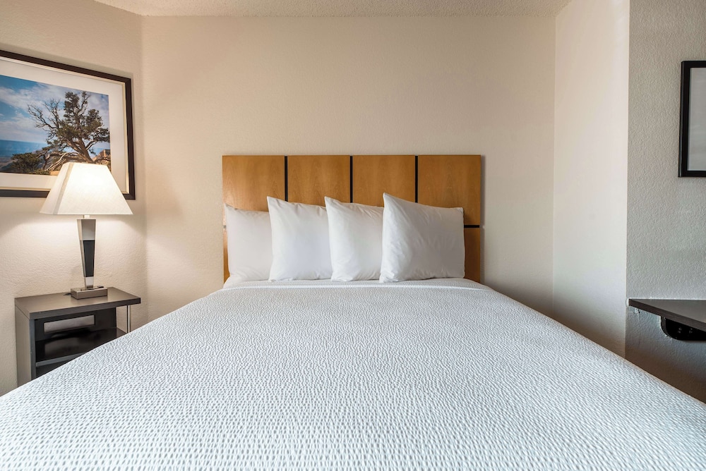Sonesta Simply Suites Dallas Richardson photo3