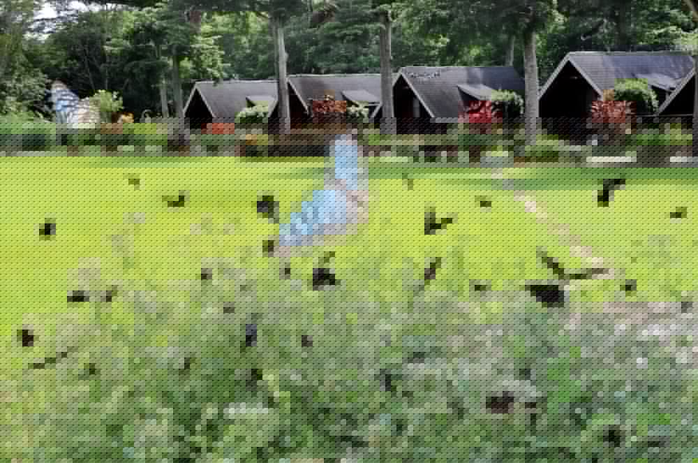 Atunas Holiday Country 24/39