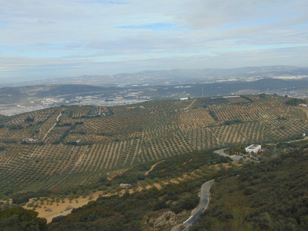 Hotel Sierra de Araceli Lucena 16/25