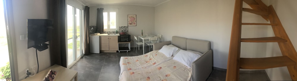 Daphne's Apartment 1/13