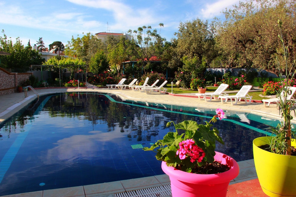 Hotel Dimitra Sun photo3