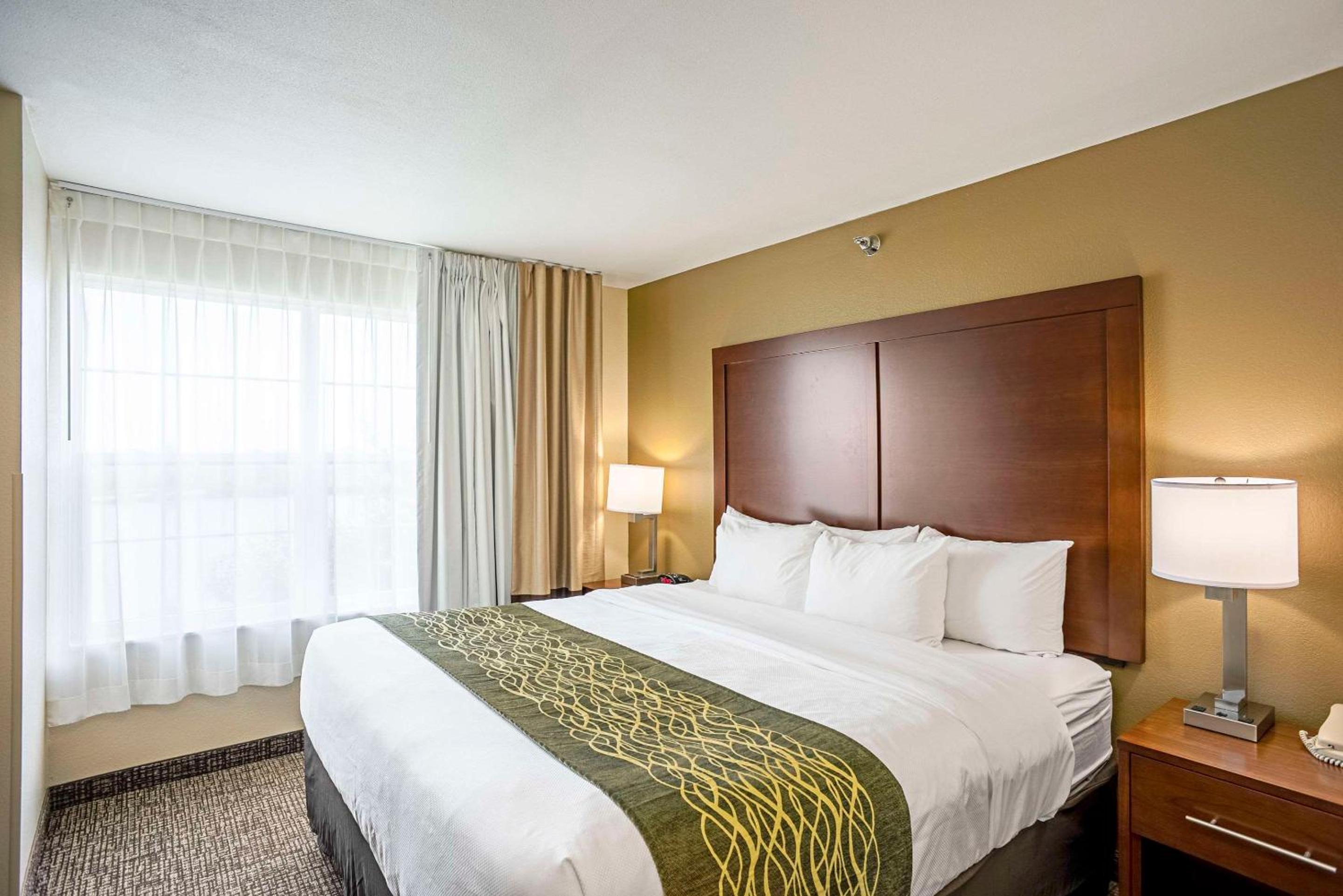 1 Bedroom, Suite, King Bed, Sofa