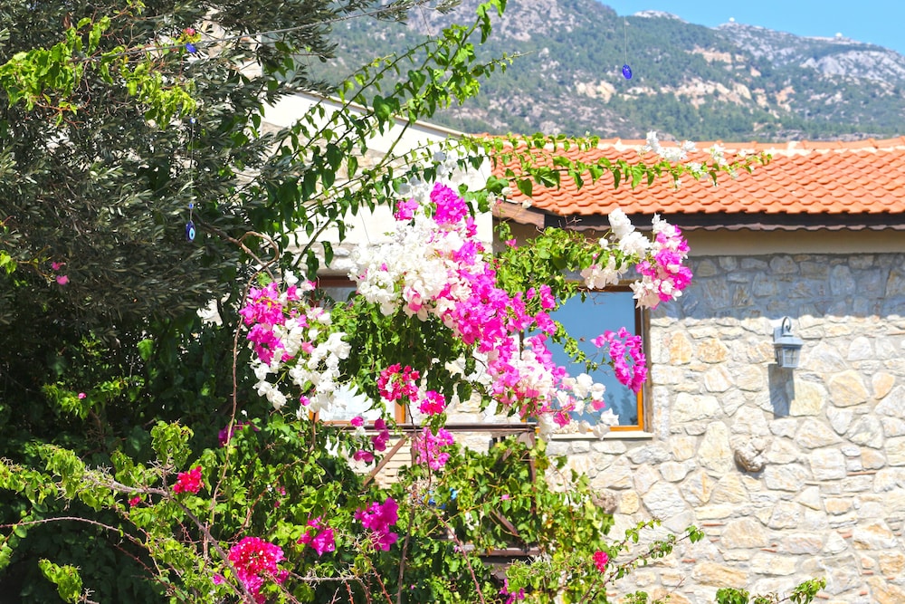Zephyros Hotel 33/44