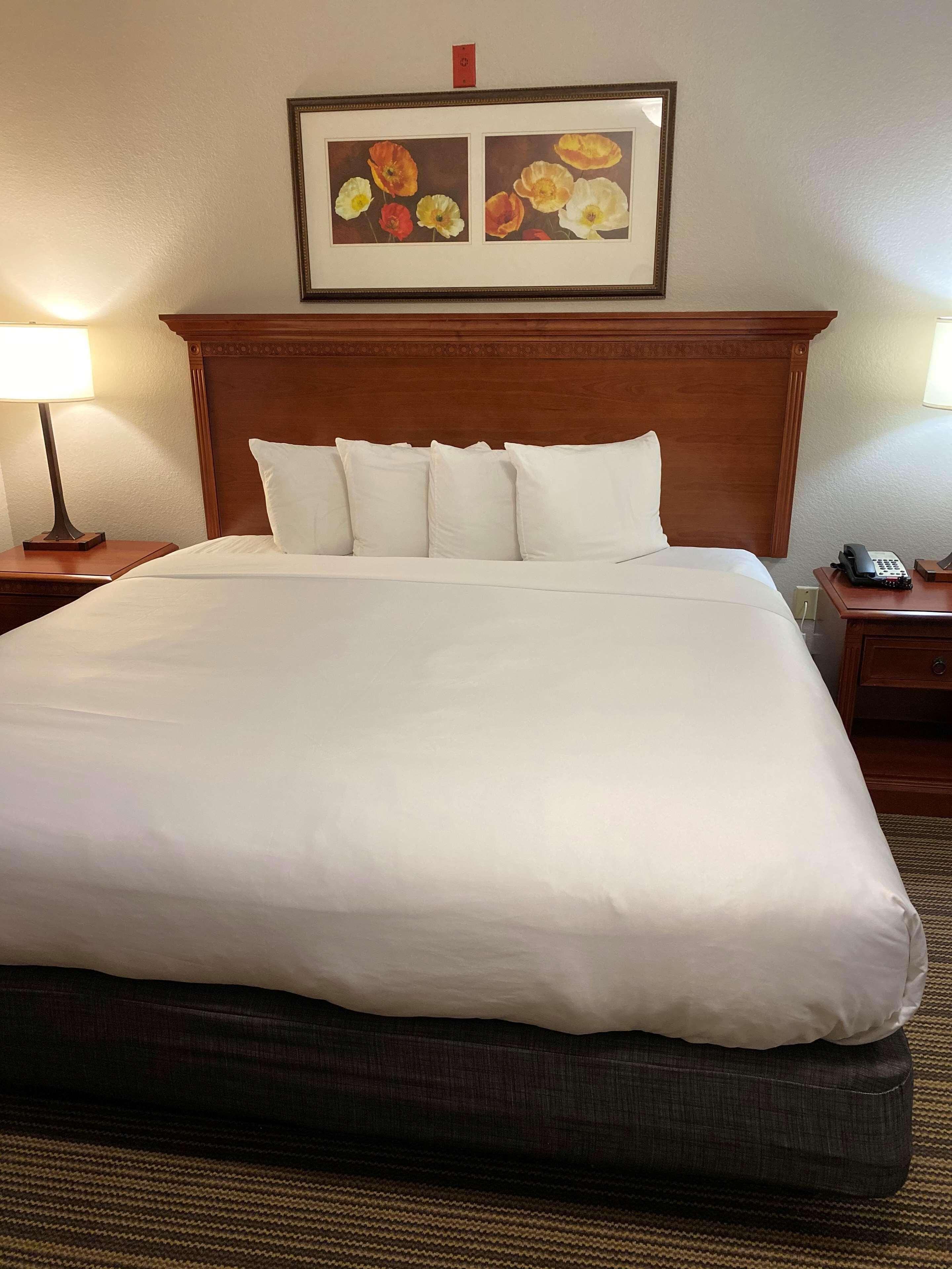 SUITE, KING BED