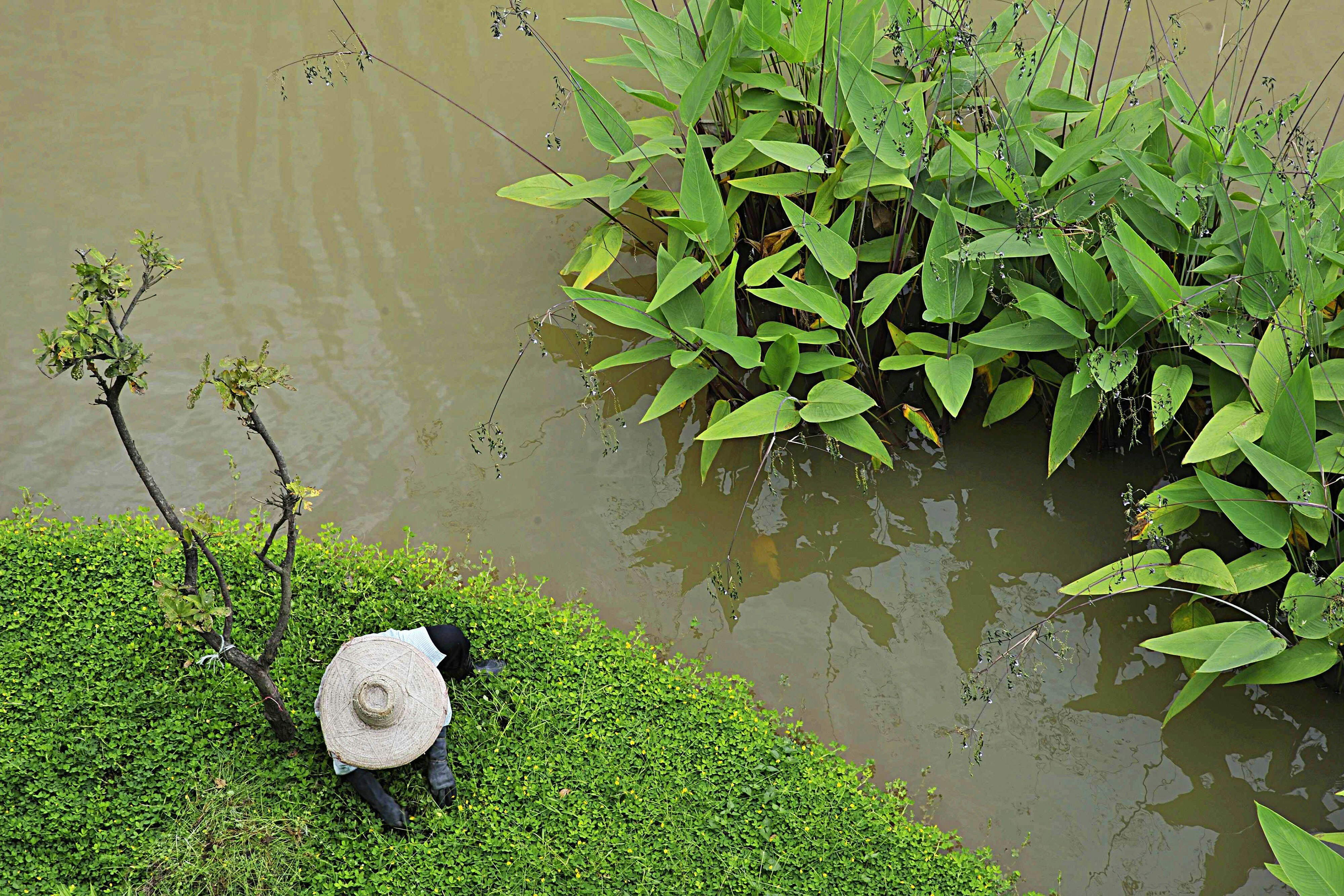 Le Meridien Chiang Rai Resort 61/71