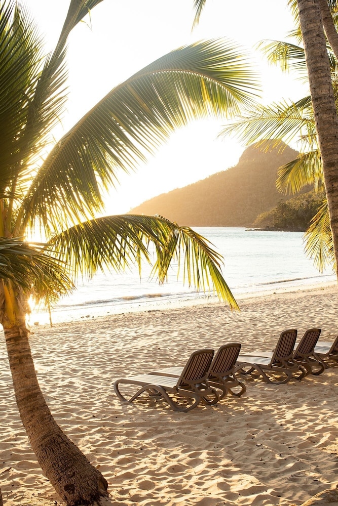 Beach Club - Adults Only 26/46