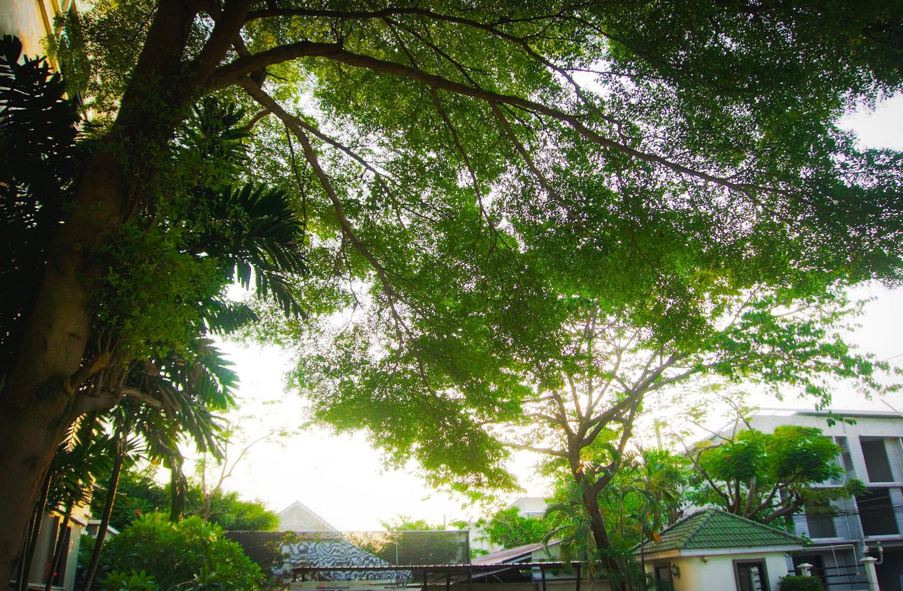 Baan Boonanan 21/24