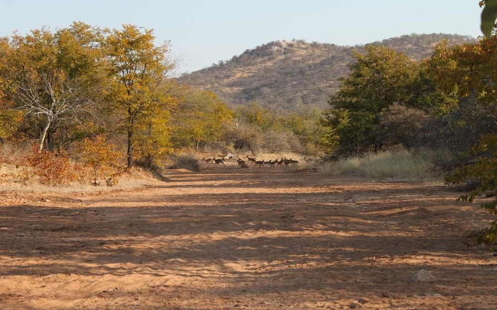 Adansonia Eco Lodge 13/22