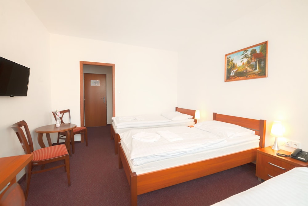 Interhotel Bohemia 23/48