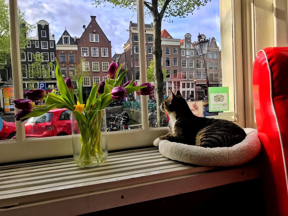 Tulip of Amsterdam B&B 11/33