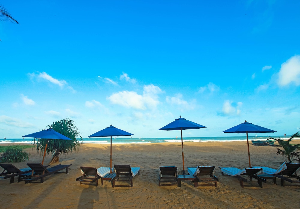 Beacon Beach Hotel 24/56