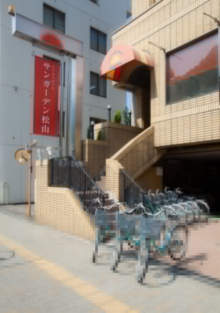 Hotel Sungarden Matsuyama 5/45