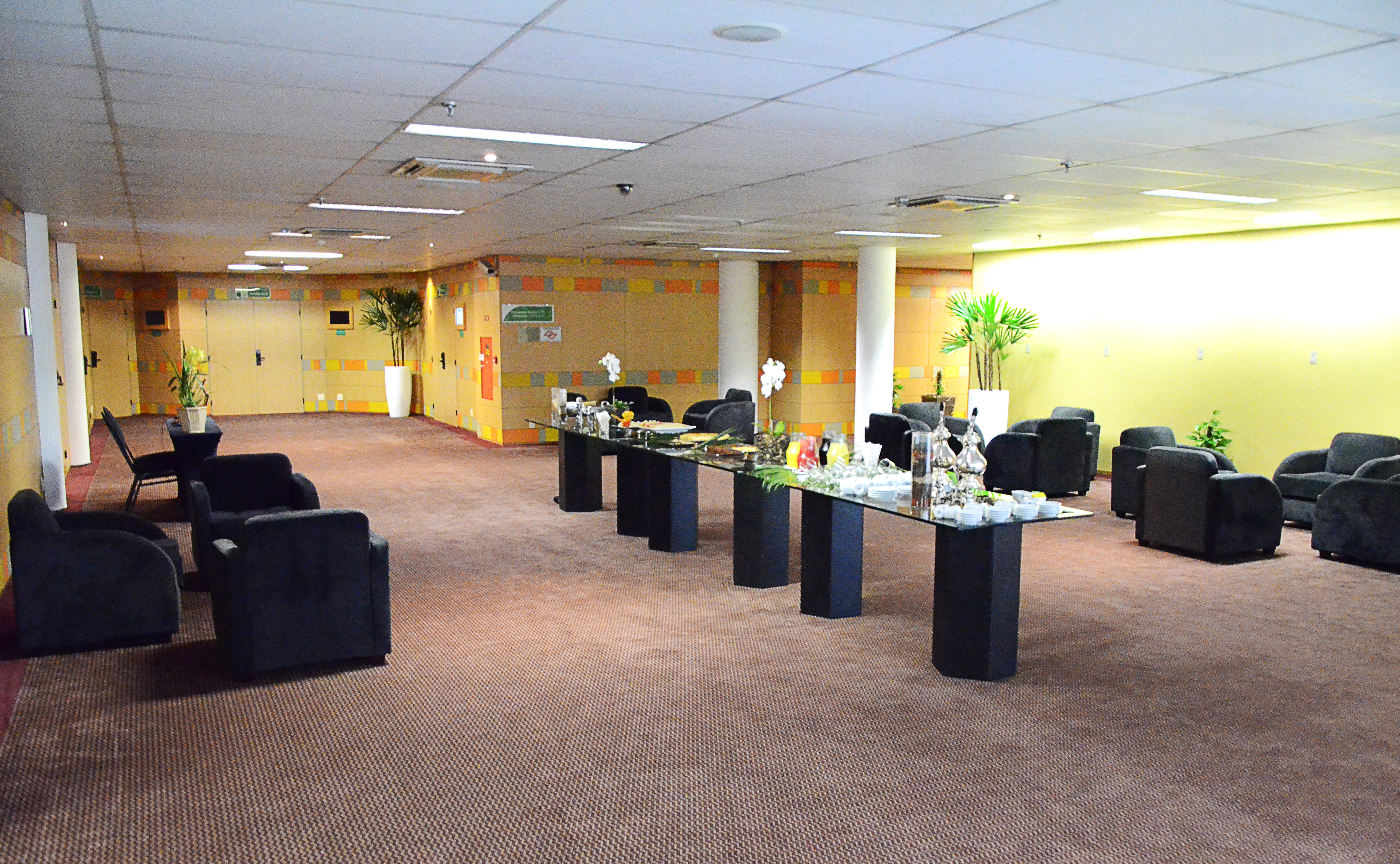 Holiday Inn Sao Paulo Parque Anhembi 74/79