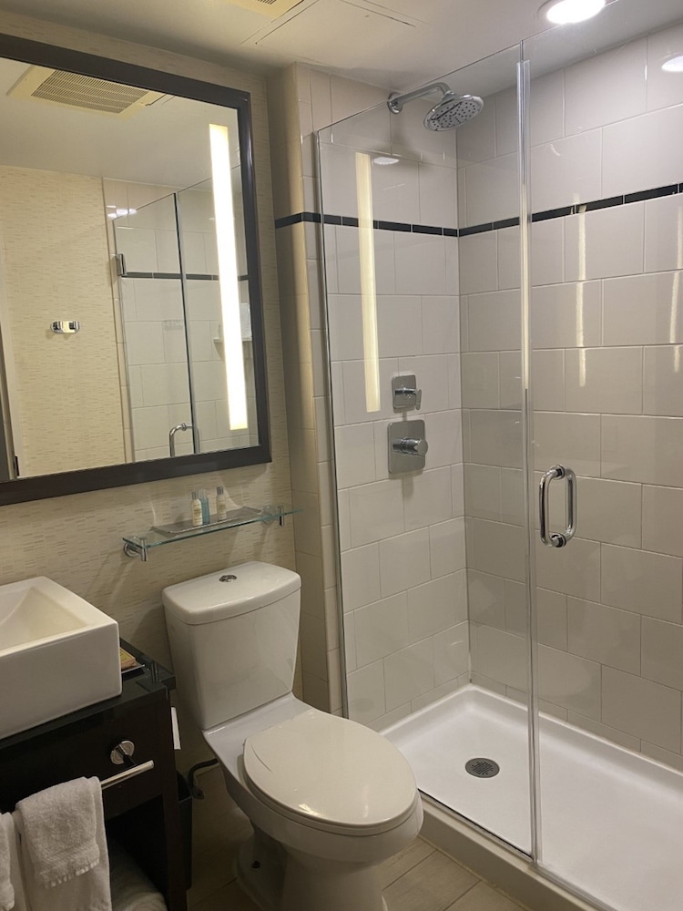 Doubletree By Hilton New York Downtown 17/39