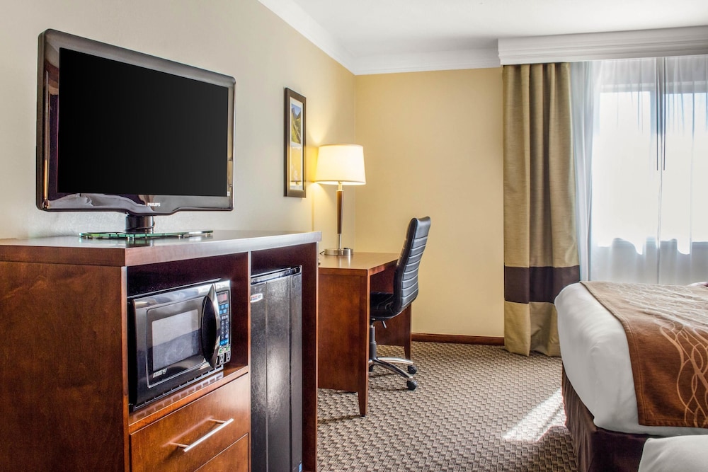 Comfort Inn & Suites Durango, CO 43/53